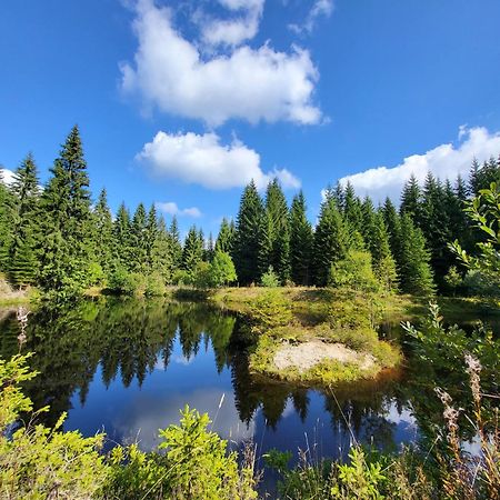 U Zlate Brizy Krusne Hory - Erzgebirge Daire Horní Blatná Dış mekan fotoğraf