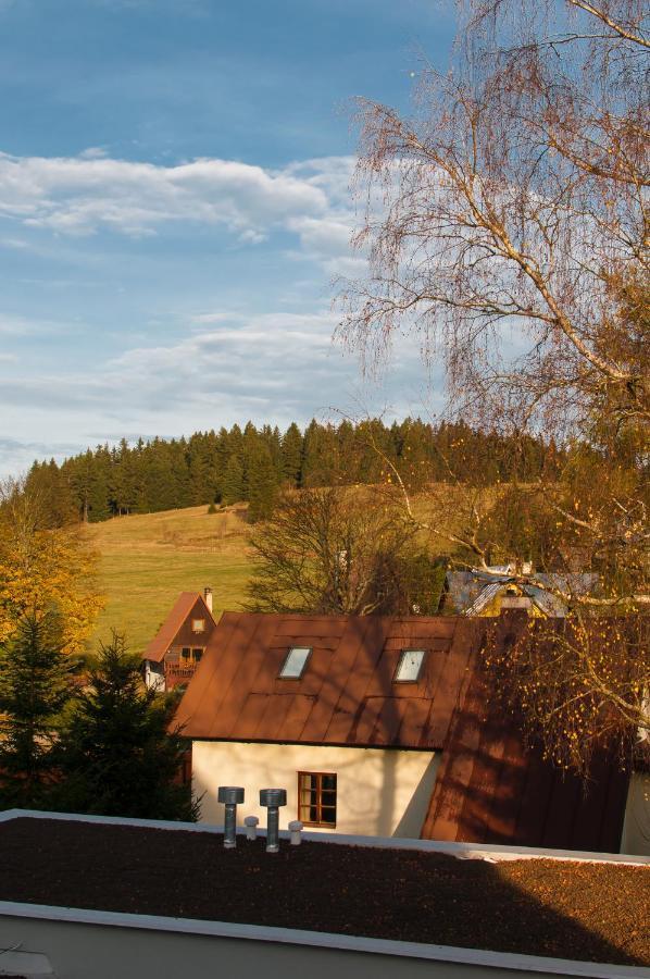 U Zlate Brizy Krusne Hory - Erzgebirge Daire Horní Blatná Dış mekan fotoğraf